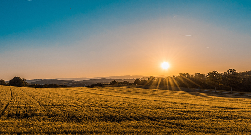 qy88vip.cnn千亿使命