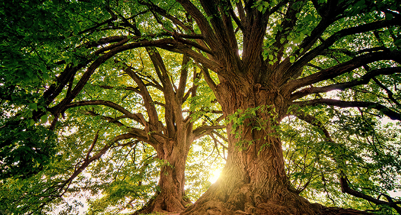 qy88vip.cnn千亿底蕴